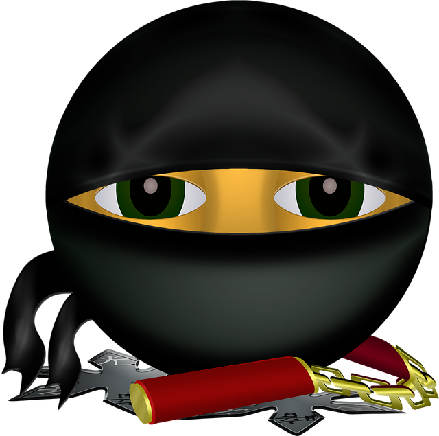 Free graphic ninja smiley vector