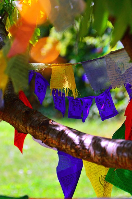 Free Buddha Prayer Flags photo and picture
