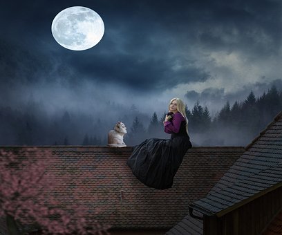 Mulher, Gato, Luar, Fantasia, Telhado