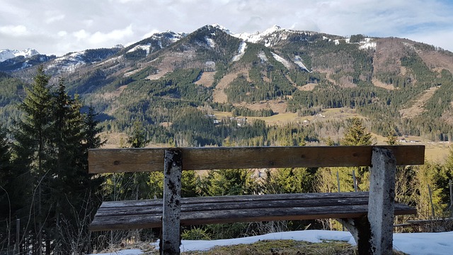 Bank, Ausblick, Natur, Alpen, Cool