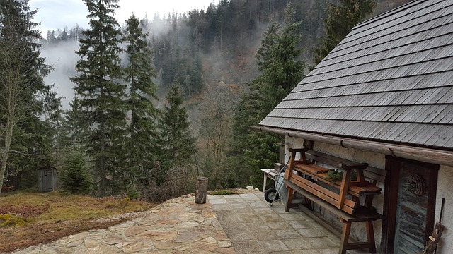 Hütte, Berge, Alpen, Wald, Dunst
