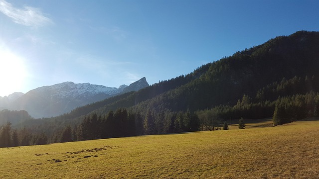 Wiese, Alpen, Natur, Die Sonne, Panorama