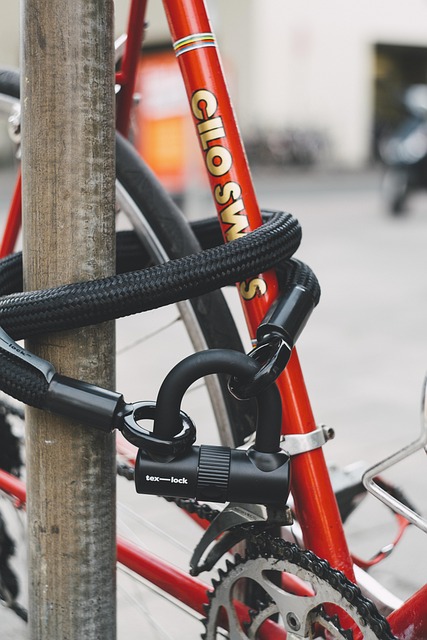 Free Bicycle Hipster photo and picture