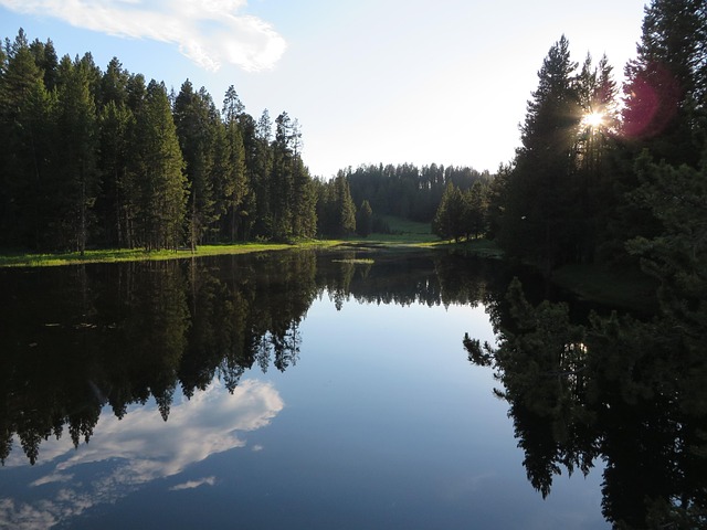 Reflexion, Wasser, Lake, Natur