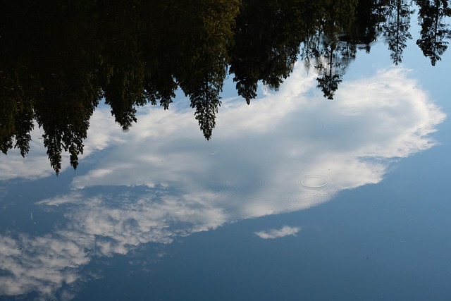 Reflexion, Wasser, Lake, Natur