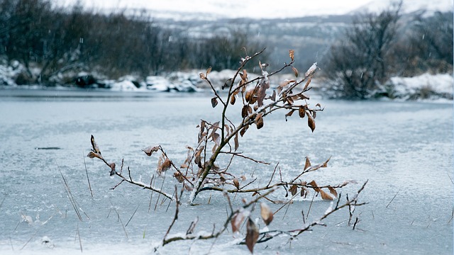Free Frozen Nature photo and picture