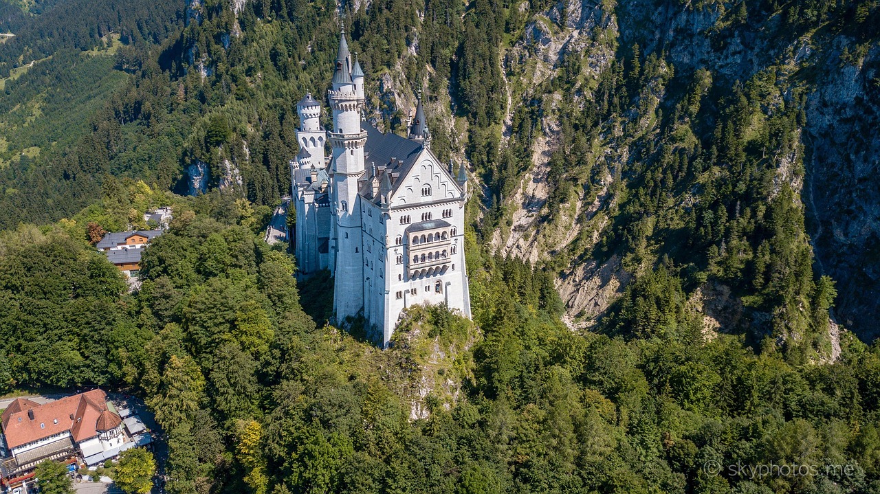 Neuschwanstein, Castillo, Zumbido