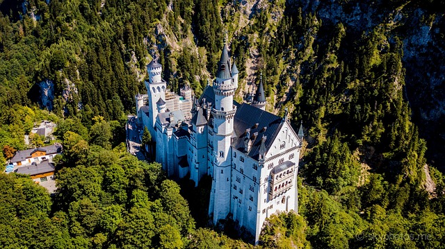 Neuschwanstein, Castillo, Zumbido