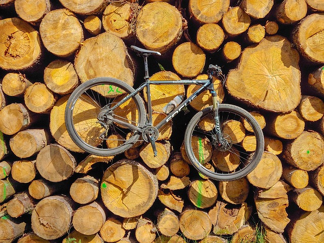 Hout, Woud, Fiets, Mountain Bike