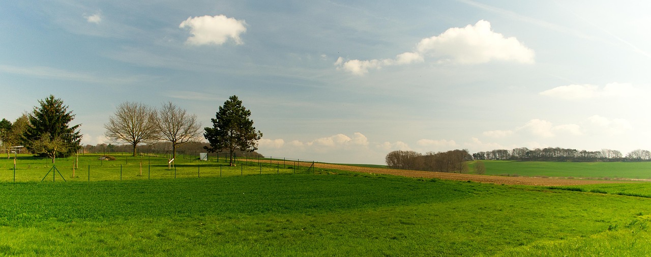 Landscape Meadow Heaven Free Photo On Pixabay Pixabay landscape-meadow-heaven-free-photo-on-pixabay-pixabay
