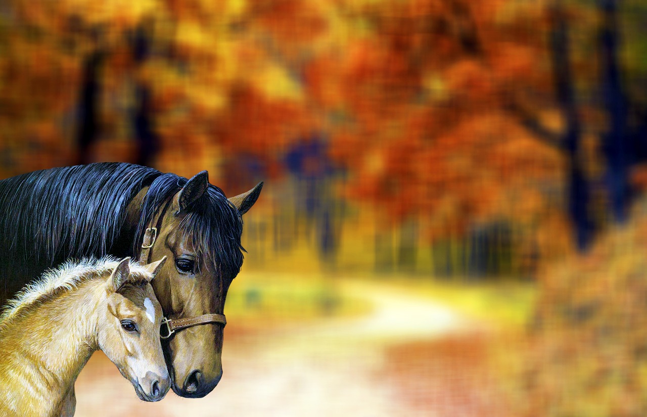 Horse - free online jigsaw puzzle photo