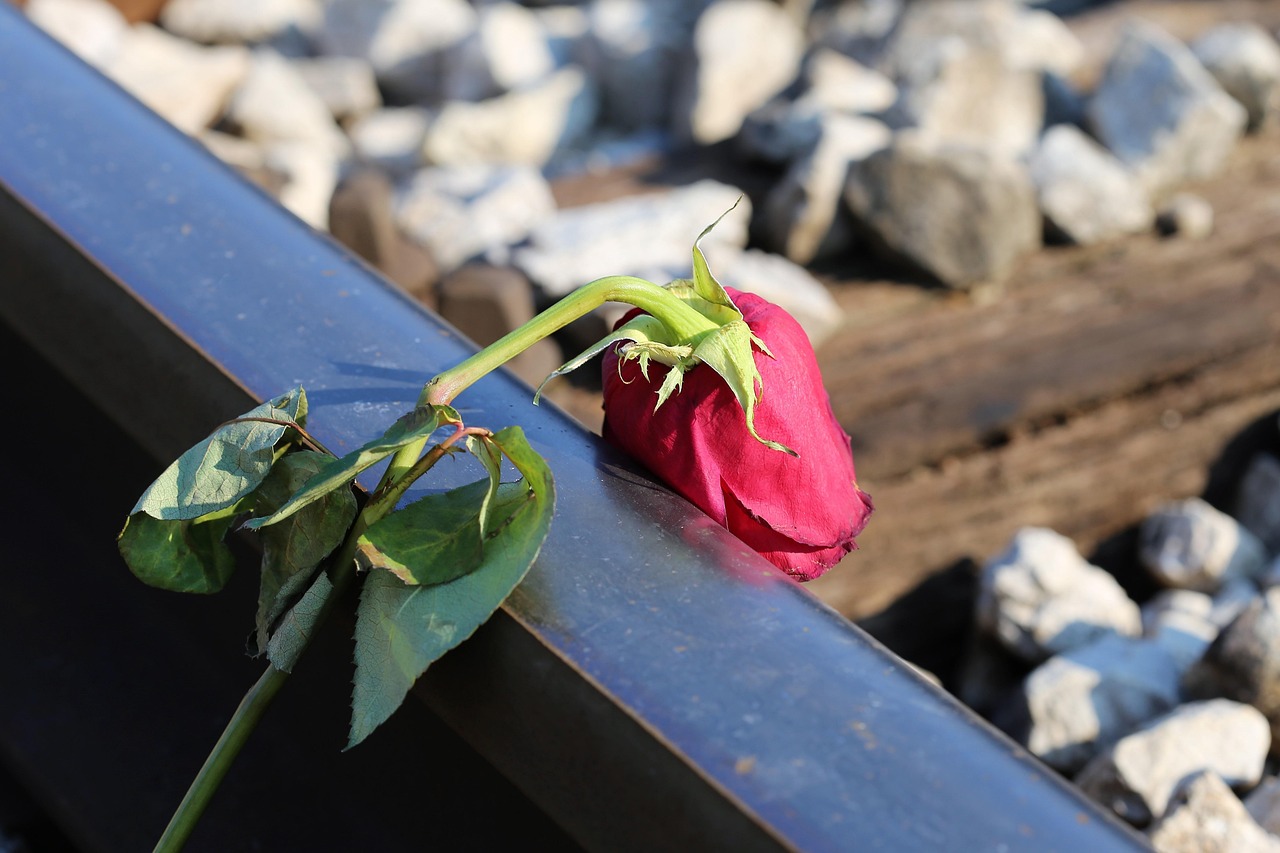 Corner Roses Sad Stop Youth Suicide Sad Red Rose - Free photo on Pixabay