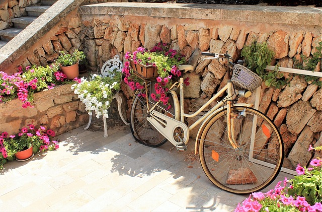 Cykel, Blomst, Middelhavet, Dekoration
