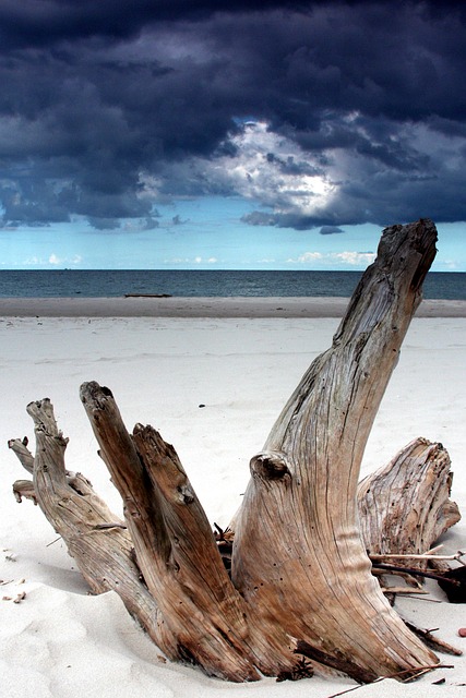 Sommer, Strand, Natur, Meer, Ocean, Sand