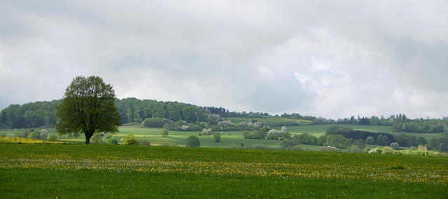 Free Nature Countryside photo and picture