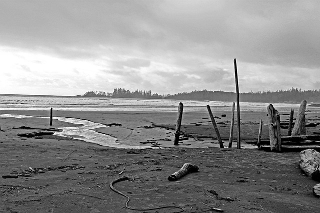 Free Long Beach photo and picture