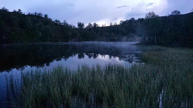 Free Water Mist photo and picture