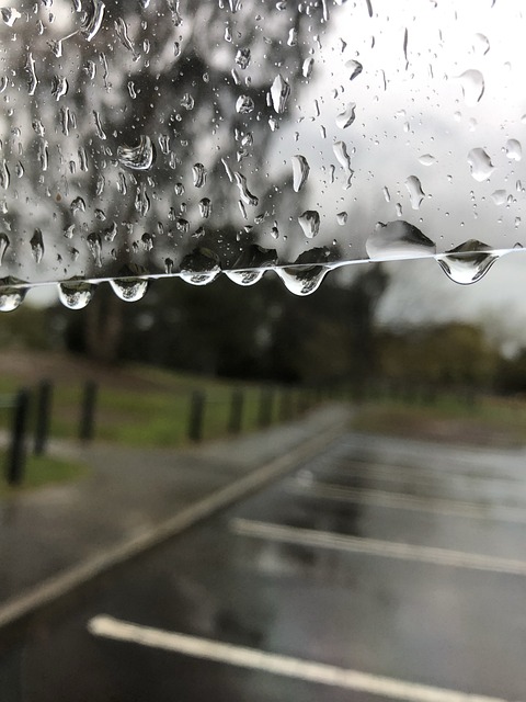 Free Rain Wet photo and picture