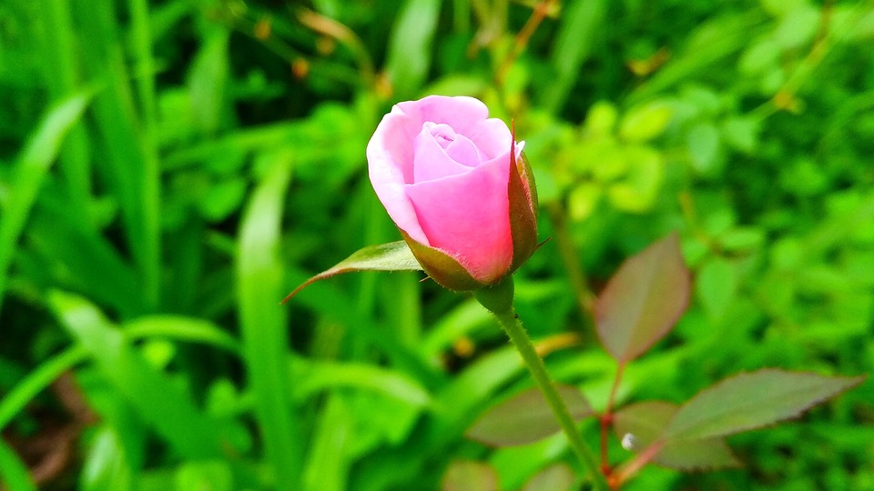 熟女系影音