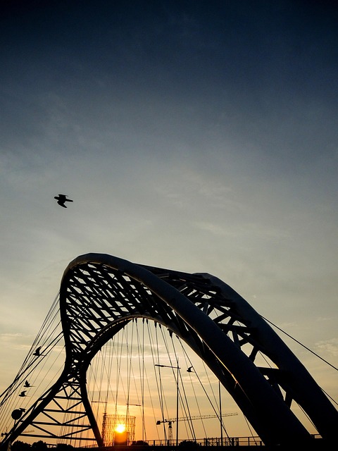 Brug, Natuur, Rome, Italië, Reizen