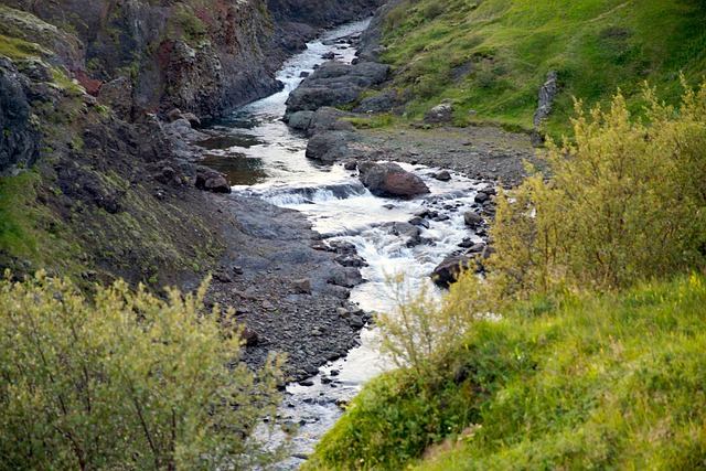 Free Lake Iceland photo and picture