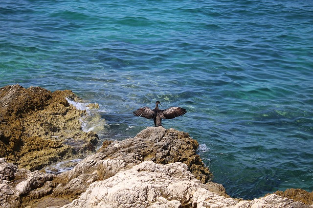 Free Croatia Vacations photo and picture