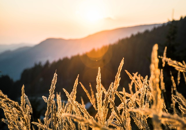 Free Summer Sunset photo and picture