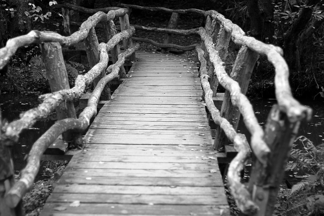 Free Bridge Nature photo and picture