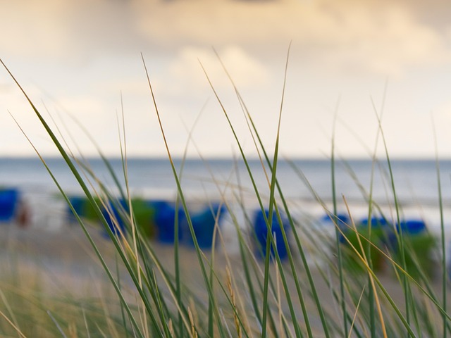 Free Reed Beach photo and picture