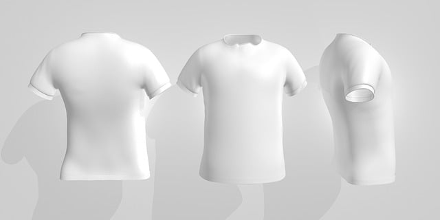 Free t-shirt clothes blouse illustration