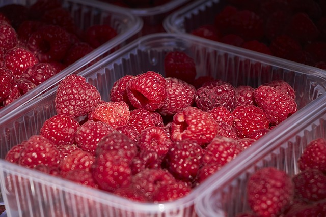 Free Raspberry Berries photo and picture