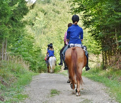 Reitsport gesellschaften gmbh anteile kaufen vertrag gmbh mantel kaufen deutschland Reitsport gmbh-mantel kaufen gesucht gmbh gebraucht kaufen