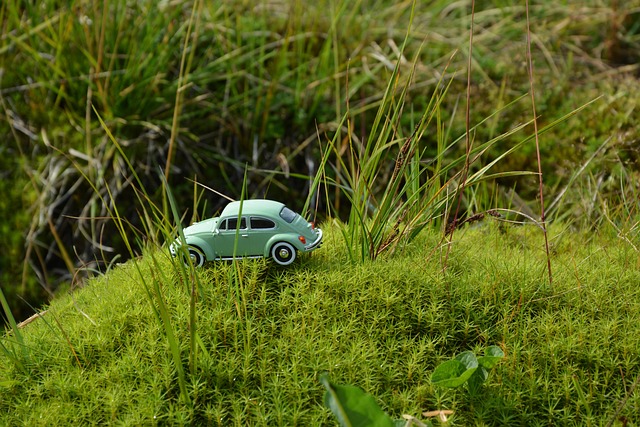 Free Car Model photo and picture