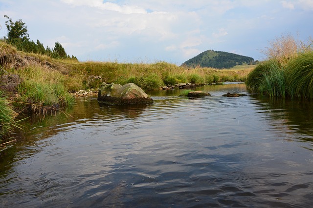 Free Nature Jizerka photo and picture