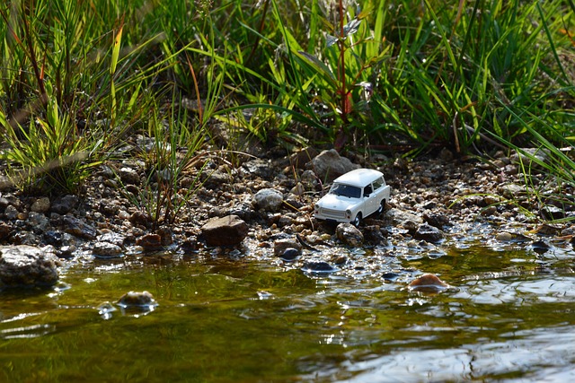 Free Trabant Model photo and picture