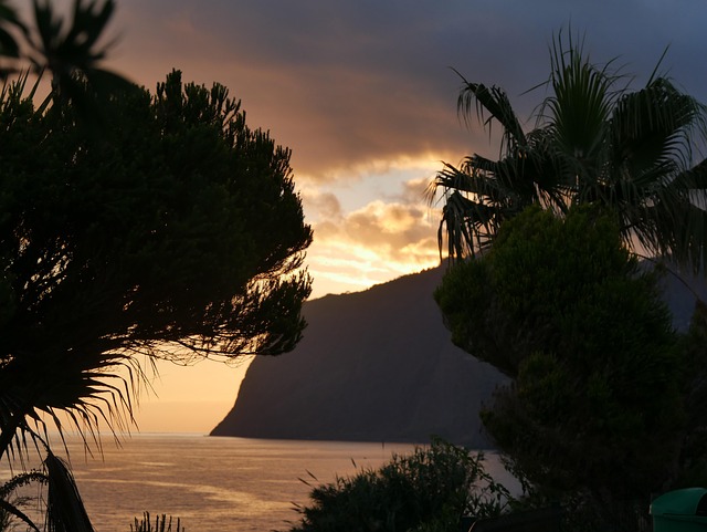 Free Madeira Funchal photo and picture