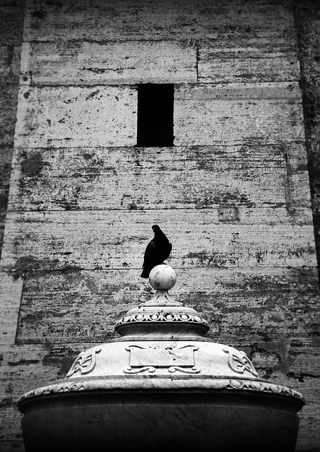 Fontein, Pegean, Vaticaan, Italië, Rome