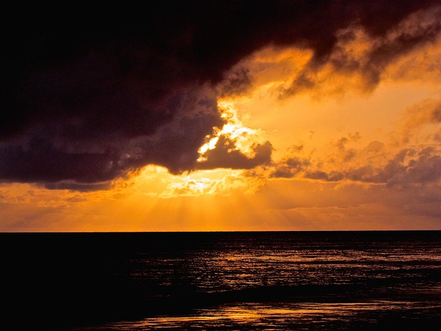 Free Sunrise Contrast photo and picture