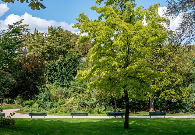 Free Paris Garden photo and picture