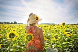 Sunflowers, Field, Woman, Yellow