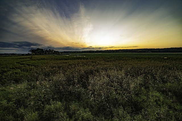 Free Sunset Sky photo and picture