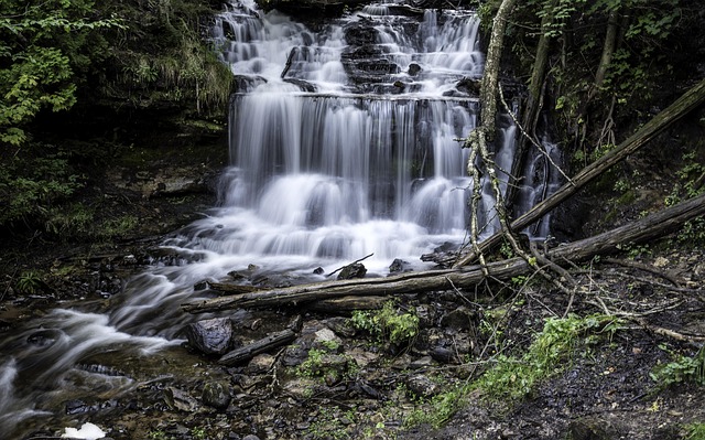 Free Waterfall Scenic photo and picture