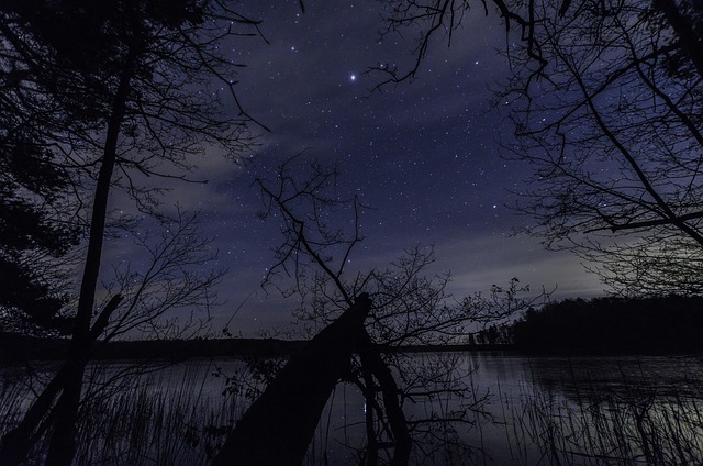Free Stars Night photo and picture