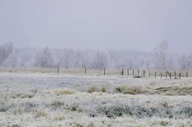 Free Winter Nature photo and picture