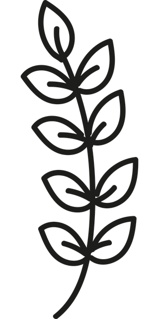 Free branch sheets green vector
