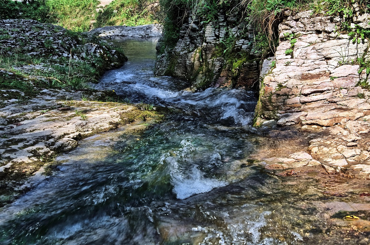 超过 50 张关于“泉水”和“自然”的免费图片 - Pixabay