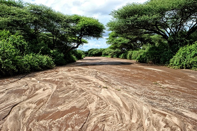 Free Africa River photo and picture