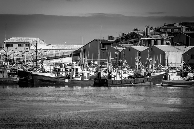Free Harbour Harbor photo and picture