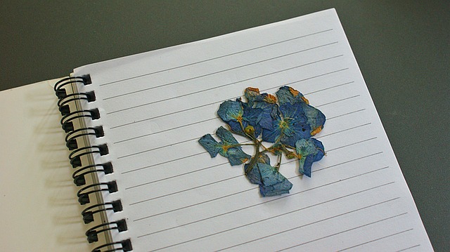 Free Flower Dried photo and picture