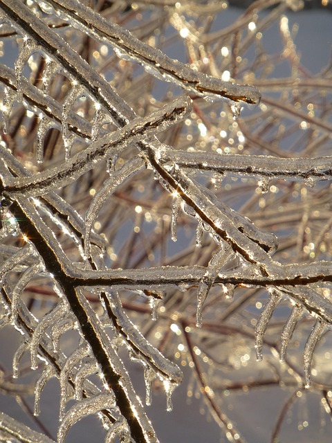 Free Ice Frozen photo and picture